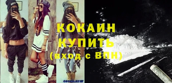 молекула духа Няндома