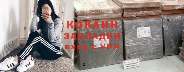 молекула духа Няндома