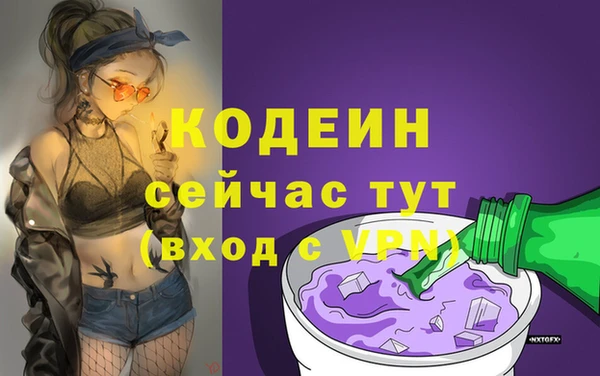 молекула духа Няндома