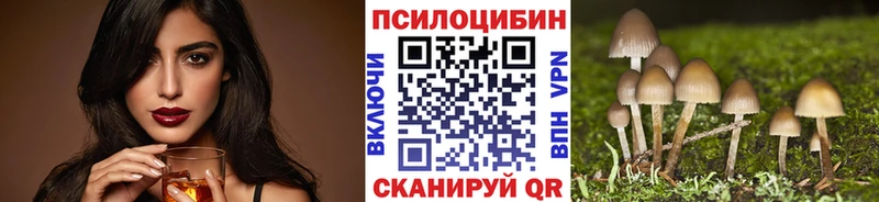 Купить  Тарко-Сале  Псилоцибиновые грибы Cubensis 
