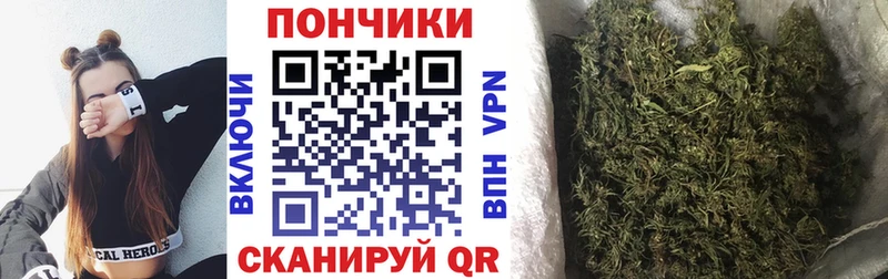 Бошки Шишки SATIVA & INDICA  Купить закладки  Тарко-Сале 